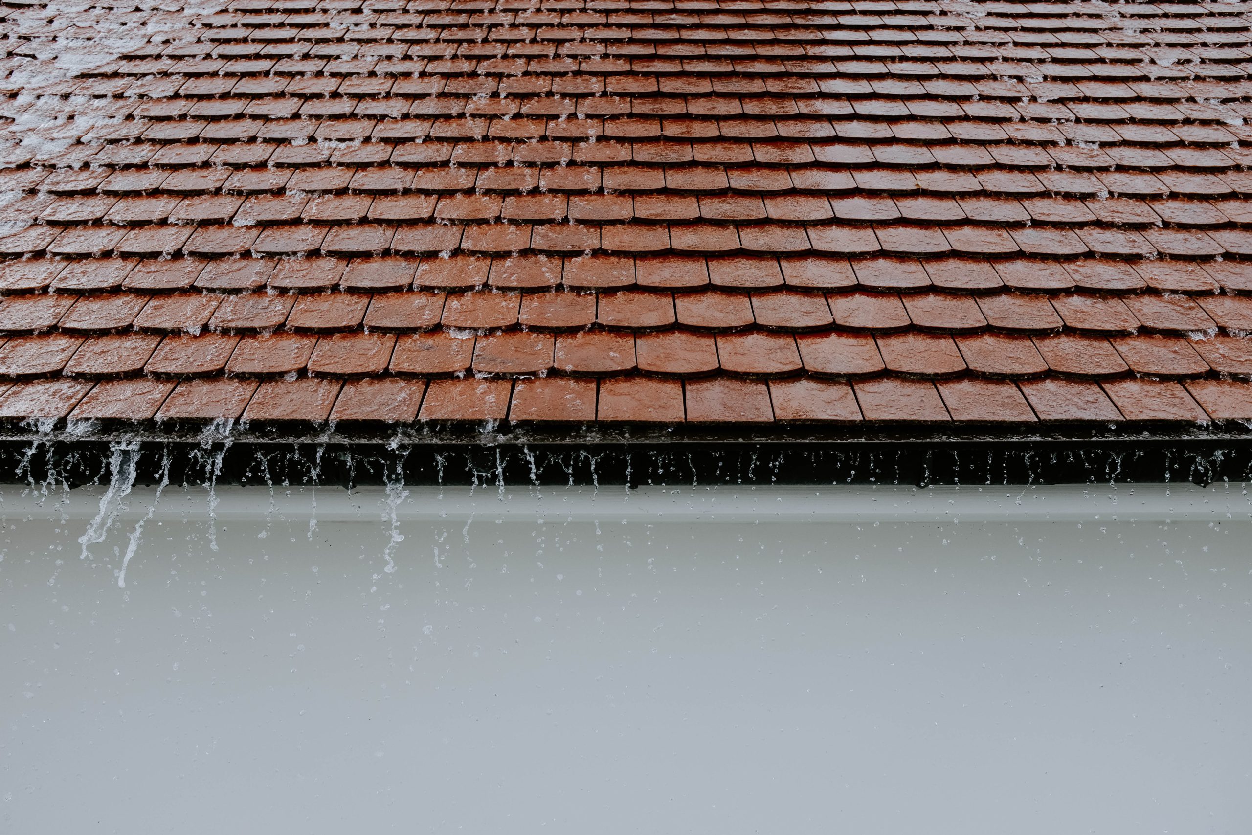 Leaking roof - how to identify a roof leak.