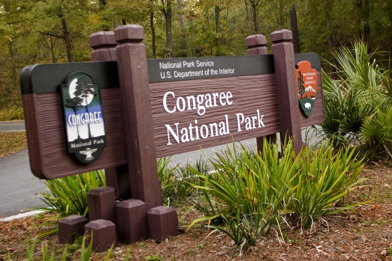 Congaree National Park, Columbia SC